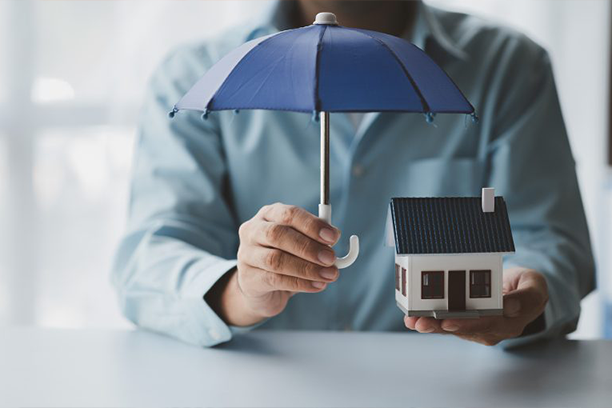 Insurance Services